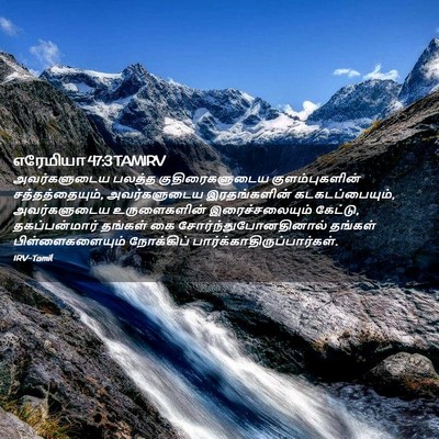 Picture 02 - எரேமியா 47:3 TAMIRV - அவர்களுடைய பலத்த - Bible Verse Picture
