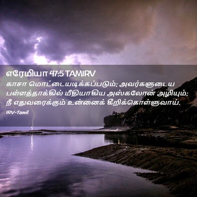 Picture 02 - எரேமியா 47:5 TAMIRV - காசா - Bible Verse Picture