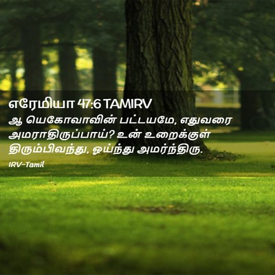 Picture 02 - எரேமியா 47:6 TAMIRV - ஆ யெகோவாவின் - Bible Verse Picture