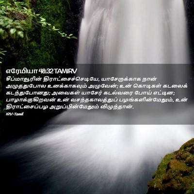 Picture 02 - எரேமியா 48:32 TAMIRV - சீப்மாவூரின் - Bible Verse Picture