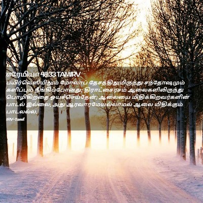 Picture 02 - எரேமியா 48:33 TAMIRV - பயிர்வெளியிலும் - Bible Verse Picture