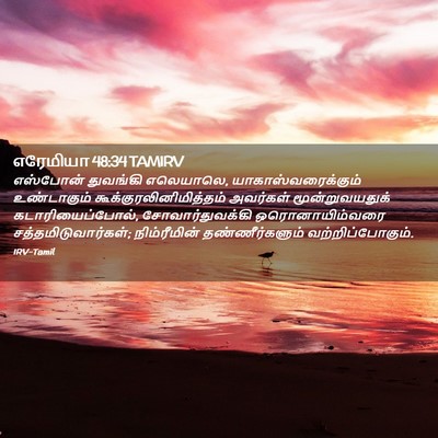 Picture 02 - எரேமியா 48:34 TAMIRV - எஸ்போன் துவங்கி - Bible Verse Picture