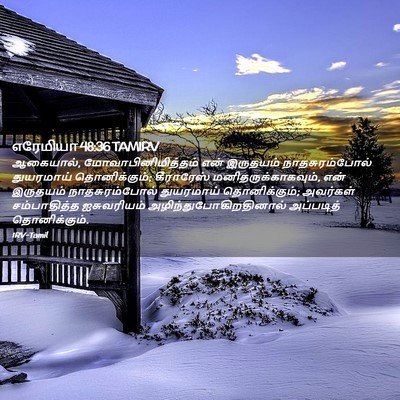 Picture 02 - எரேமியா 48:36 TAMIRV - ஆகையால், - Bible Verse Picture