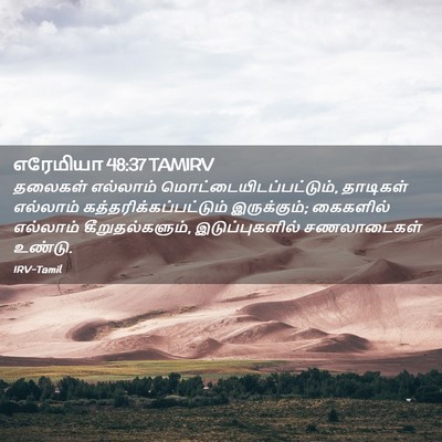 Picture 02 - எரேமியா 48:37 TAMIRV - தலைகள் எல்லாம் - Bible Verse Picture
