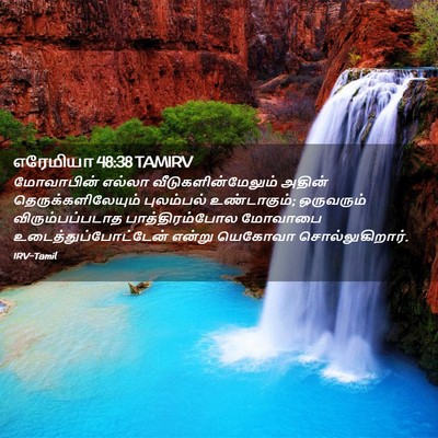 Picture 02 - எரேமியா 48:38 TAMIRV - மோவாபின் எல்லா - Bible Verse Picture