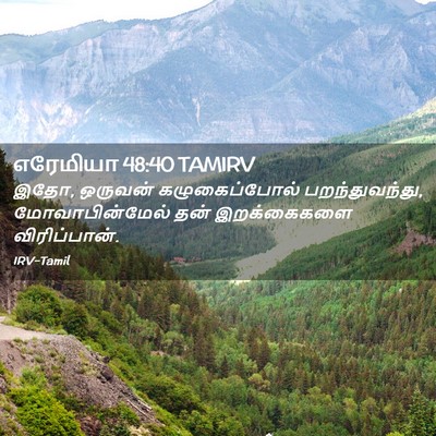 Picture 02 - எரேமியா 48:40 TAMIRV - இதோ, ஒருவன் - Bible Verse Picture