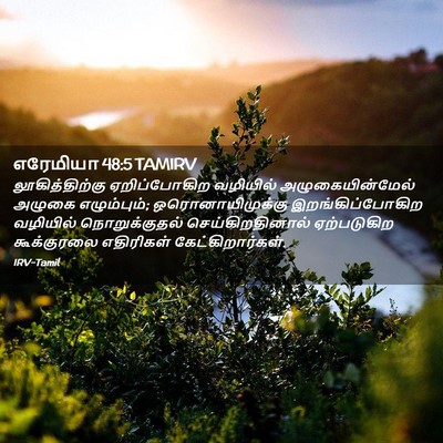 Picture 02 - எரேமியா 48:5 TAMIRV - லூகித்திற்கு - Bible Verse Picture