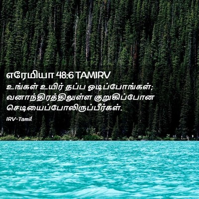 Picture 02 - எரேமியா 48:6 TAMIRV - உங்கள் உயிர் தப்ப - Bible Verse Picture