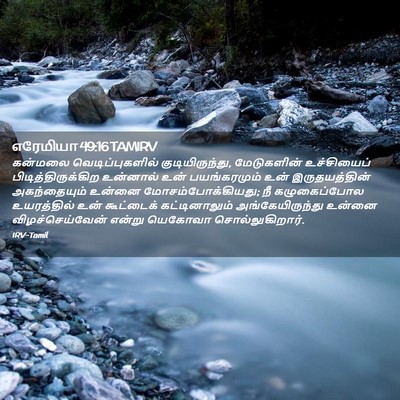Picture 02 - எரேமியா 49:16 TAMIRV - கன்மலை - Bible Verse Picture