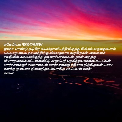 Picture 02 - எரேமியா 49:19 TAMIRV - இதோ, புரண்டு - Bible Verse Picture