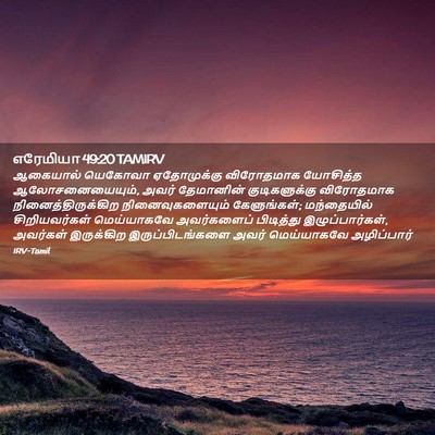 Picture 02 - எரேமியா 49:20 TAMIRV - ஆகையால் யெகோவா - Bible Verse Picture
