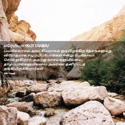 Picture 02 - எரேமியா 49:31 TAMIRV - பயமில்லாமல் - Bible Verse Picture
