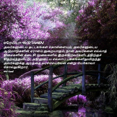 Picture 02 - எரேமியா 49:32 TAMIRV - அவர்களுடைய - Bible Verse Picture