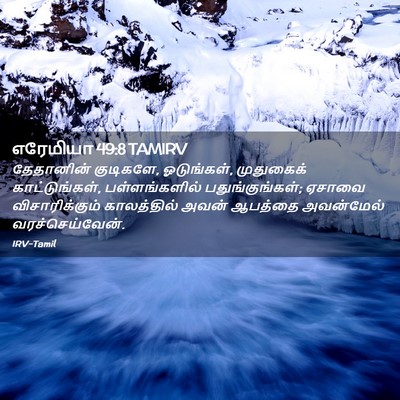 Picture 02 - எரேமியா 49:8 TAMIRV - தேதானின் குடிகளே, - Bible Verse Picture