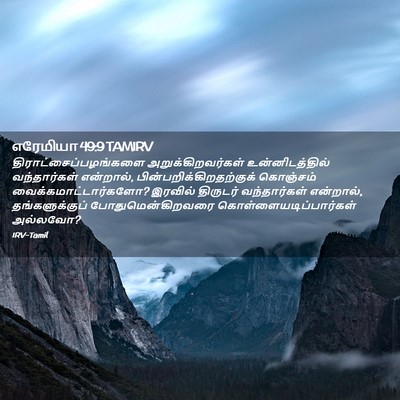 Picture 02 - எரேமியா 49:9 TAMIRV -  - Bible Verse Picture