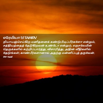 Picture 02 - எரேமியா 5:1 TAMIRV - நியாயஞ்செய்கிற - Bible Verse Picture