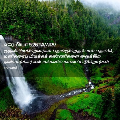 Picture 02 - எரேமியா 5:26 TAMIRV -  - Bible Verse Picture