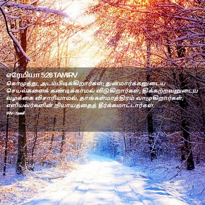 Picture 02 - எரேமியா 5:28 TAMIRV - கொழுத்து, - Bible Verse Picture