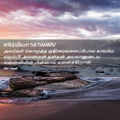 Picture 02 - எரேமியா 5:8 TAMIRV - அவர்கள் கொழுத்த - Bible Verse Picture