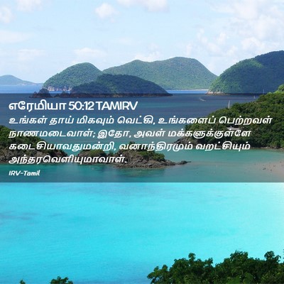 Picture 02 - எரேமியா 50:12 TAMIRV - உங்கள் தாய் - Bible Verse Picture