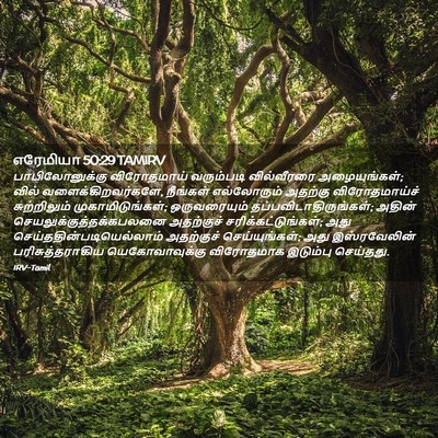 Picture 02 - எரேமியா 50:29 TAMIRV - பாபிலோனுக்கு - Bible Verse Picture
