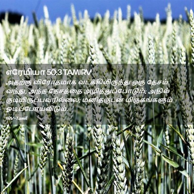 Picture 02 - எரேமியா 50:3 TAMIRV - அதற்கு விரோதமாக - Bible Verse Picture