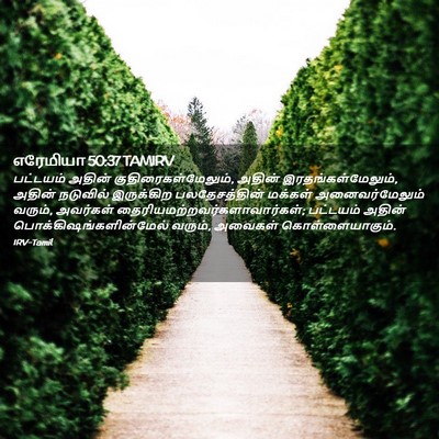 Picture 02 - எரேமியா 50:37 TAMIRV - பட்டயம் அதின் - Bible Verse Picture