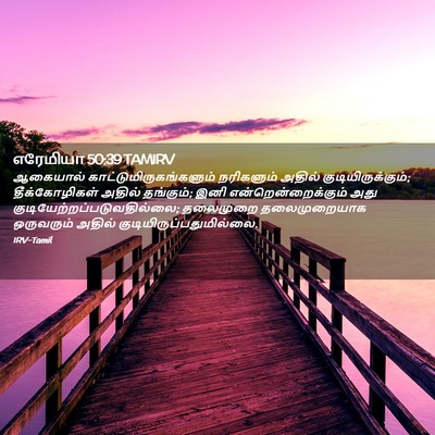Picture 02 - எரேமியா 50:39 TAMIRV - ஆகையால் - Bible Verse Picture