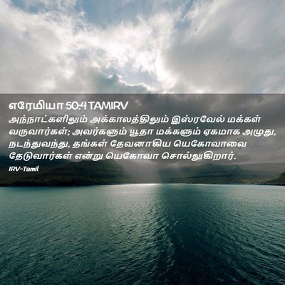 Picture 02 - எரேமியா 50:4 TAMIRV - அந்நாட்களிலும் - Bible Verse Picture