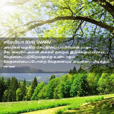 Picture 02 - எரேமியா 50:43 TAMIRV - அவர்கள் வருகிற - Bible Verse Picture