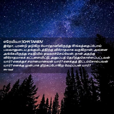 Picture 02 - எரேமியா 50:44 TAMIRV - இதோ, புரண்டு - Bible Verse Picture