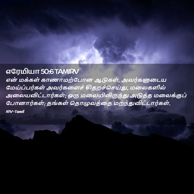 Picture 02 - எரேமியா 50:6 TAMIRV - என் மக்கள் - Bible Verse Picture