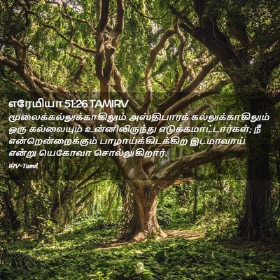 Picture 02 - எரேமியா 51:26 TAMIRV -  - Bible Verse Picture
