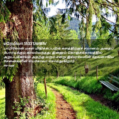Picture 02 - எரேமியா 51:33 TAMIRV - பாபிலோன் மகள் - Bible Verse Picture