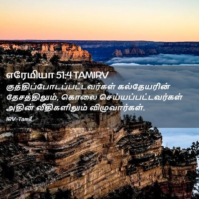 Picture 02 - எரேமியா 51:4 TAMIRV -  - Bible Verse Picture