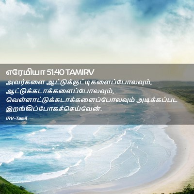 Picture 02 - எரேமியா 51:40 TAMIRV - அவர்களை - Bible Verse Picture