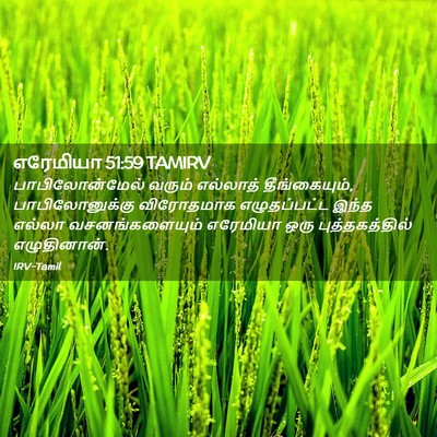 Picture 02 - எரேமியா 51:59 TAMIRV - பாபிலோன்மேல் - Bible Verse Picture