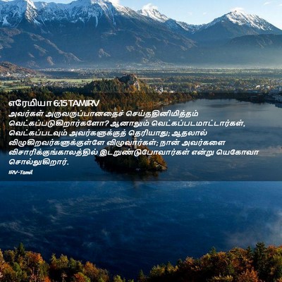 Picture 02 - எரேமியா 6:15 TAMIRV - அவர்கள் - Bible Verse Picture
