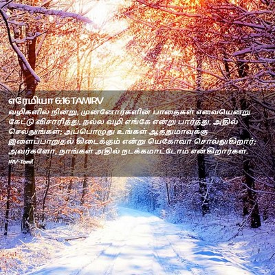 Picture 02 - எரேமியா 6:16 TAMIRV - வழிகளில் நின்று, - Bible Verse Picture