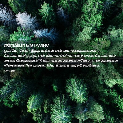 Picture 02 - எரேமியா 6:19 TAMIRV - பூமியே, கேள்; இந்த - Bible Verse Picture