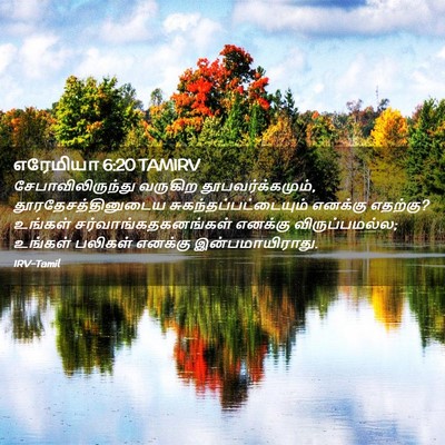 Picture 02 - எரேமியா 6:20 TAMIRV - சேபாவிலிருந்து - Bible Verse Picture