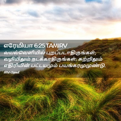 Picture 02 - எரேமியா 6:25 TAMIRV - வயல்வெளியில் - Bible Verse Picture