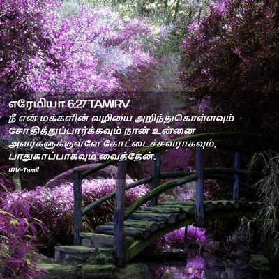 Picture 02 - எரேமியா 6:27 TAMIRV - நீ என் மக்களின் - Bible Verse Picture