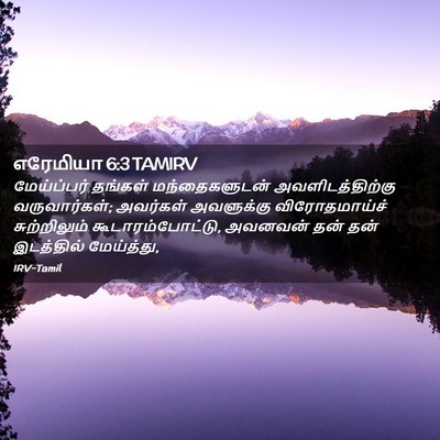 Picture 02 - எரேமியா 6:3 TAMIRV - மேய்ப்பர் தங்கள் - Bible Verse Picture