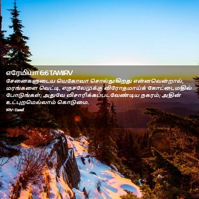 Picture 02 - எரேமியா 6:6 TAMIRV - சேனைகளுடைய யெகோவா - Bible Verse Picture
