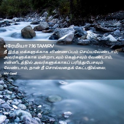 Picture 02 - எரேமியா 7:16 TAMIRV - நீ இந்த - Bible Verse Picture
