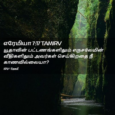 Picture 02 - எரேமியா 7:17 TAMIRV - யூதாவின் - Bible Verse Picture