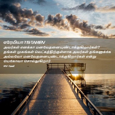 Picture 02 - எரேமியா 7:19 TAMIRV - அவர்கள் எனக்கா - Bible Verse Picture