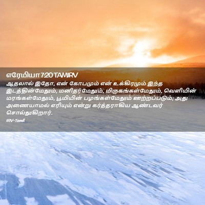 Picture 02 - எரேமியா 7:20 TAMIRV - ஆதலால் இதோ, என் - Bible Verse Picture