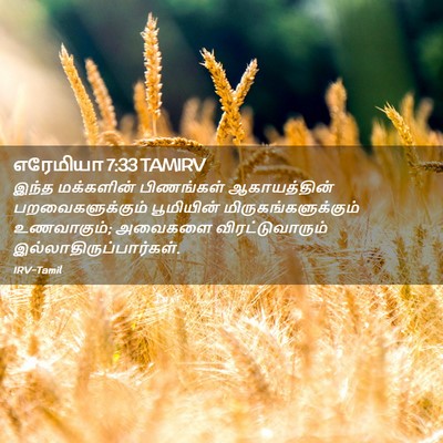 Picture 02 - எரேமியா 7:33 TAMIRV - இந்த மக்களின் - Bible Verse Picture